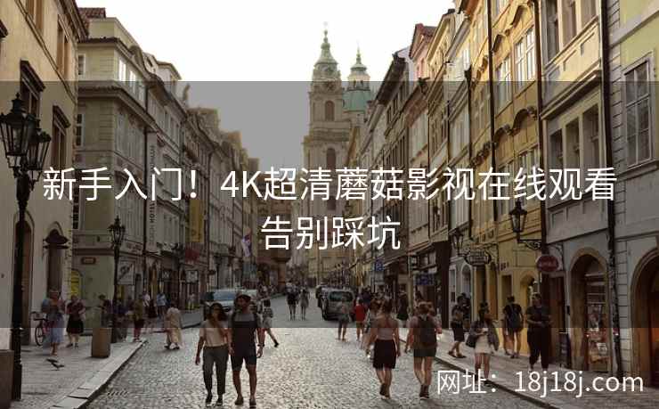 新手入门！4K超清蘑菇影视在线观看告别踩坑
