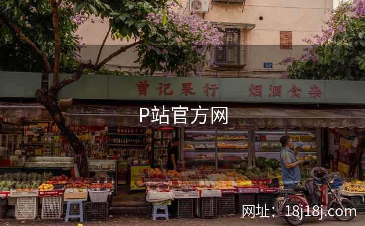 P站官方网 第2张