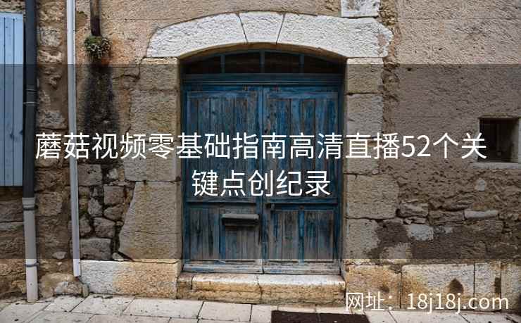 蘑菇视频零基础指南高清直播52个关键点创纪录