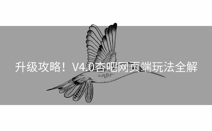升级攻略！V4.0杏吧网页端玩法全解