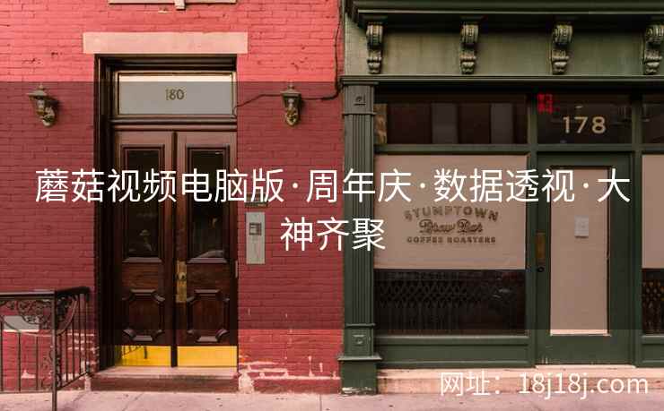 蘑菇视频电脑版·周年庆·数据透视·大神齐聚