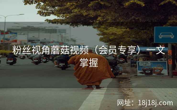 粉丝视角蘑菇视频（会员专享）一文掌握
