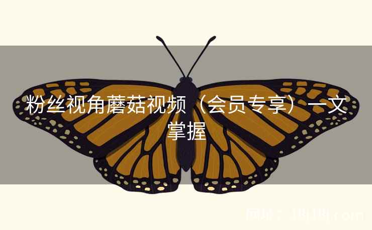 粉丝视角蘑菇视频（会员专享）一文掌握  第2张