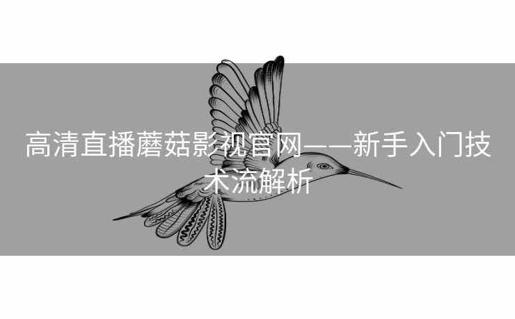 高清直播蘑菇影视官网——新手入门技术流解析