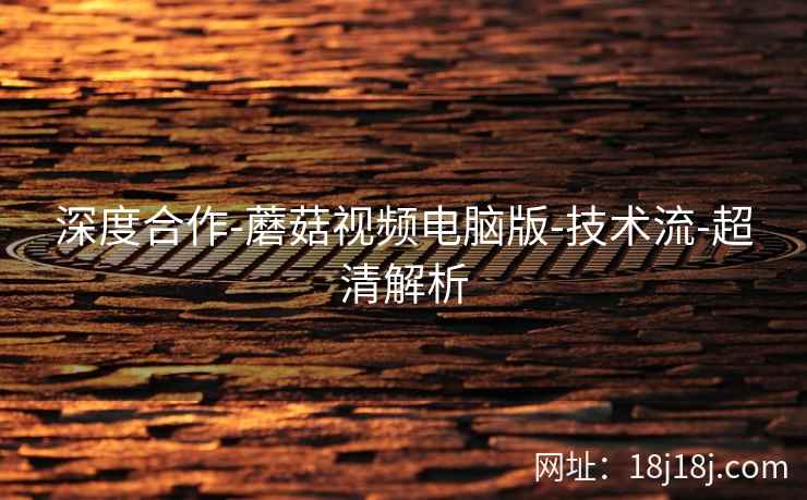 深度合作-蘑菇视频电脑版-技术流-超清解析
